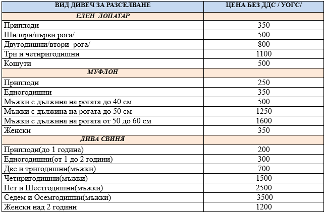 Divech za razselvane 04.04.2025